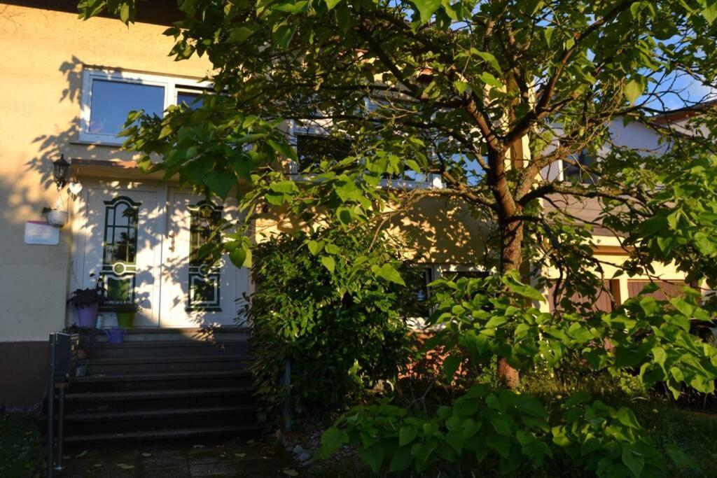 Maison Madlene Frickenhausen  Eksteriør bilde
